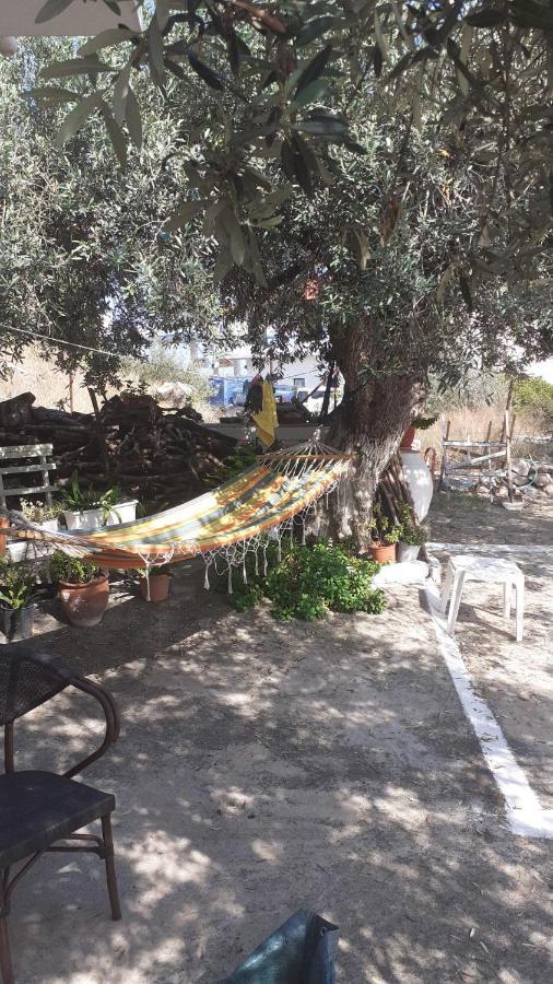 Olive Trees Villa Poros Town Exterior foto